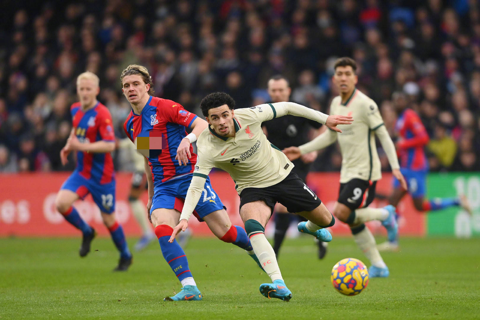 的争夺往往 的争夺往往