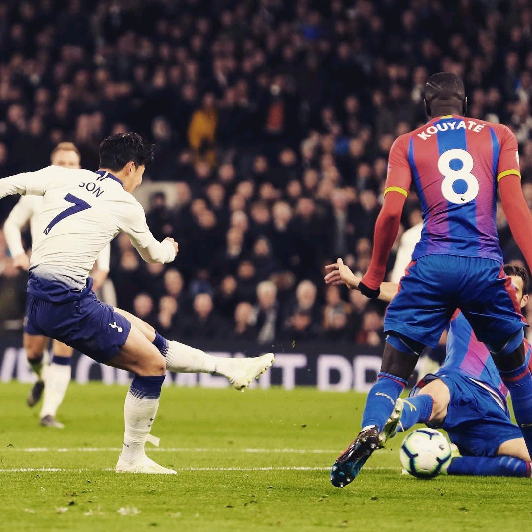 极寻求签下 极寻求签下